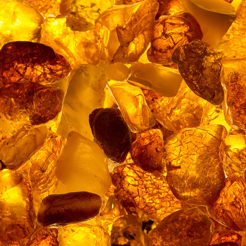 AMBER PERFUMES