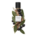 ÉCLAT 909 - Bay Leaf & Blackberry
