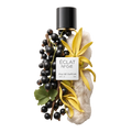 ÉCLAT 041 VIP - Fruity Cassis