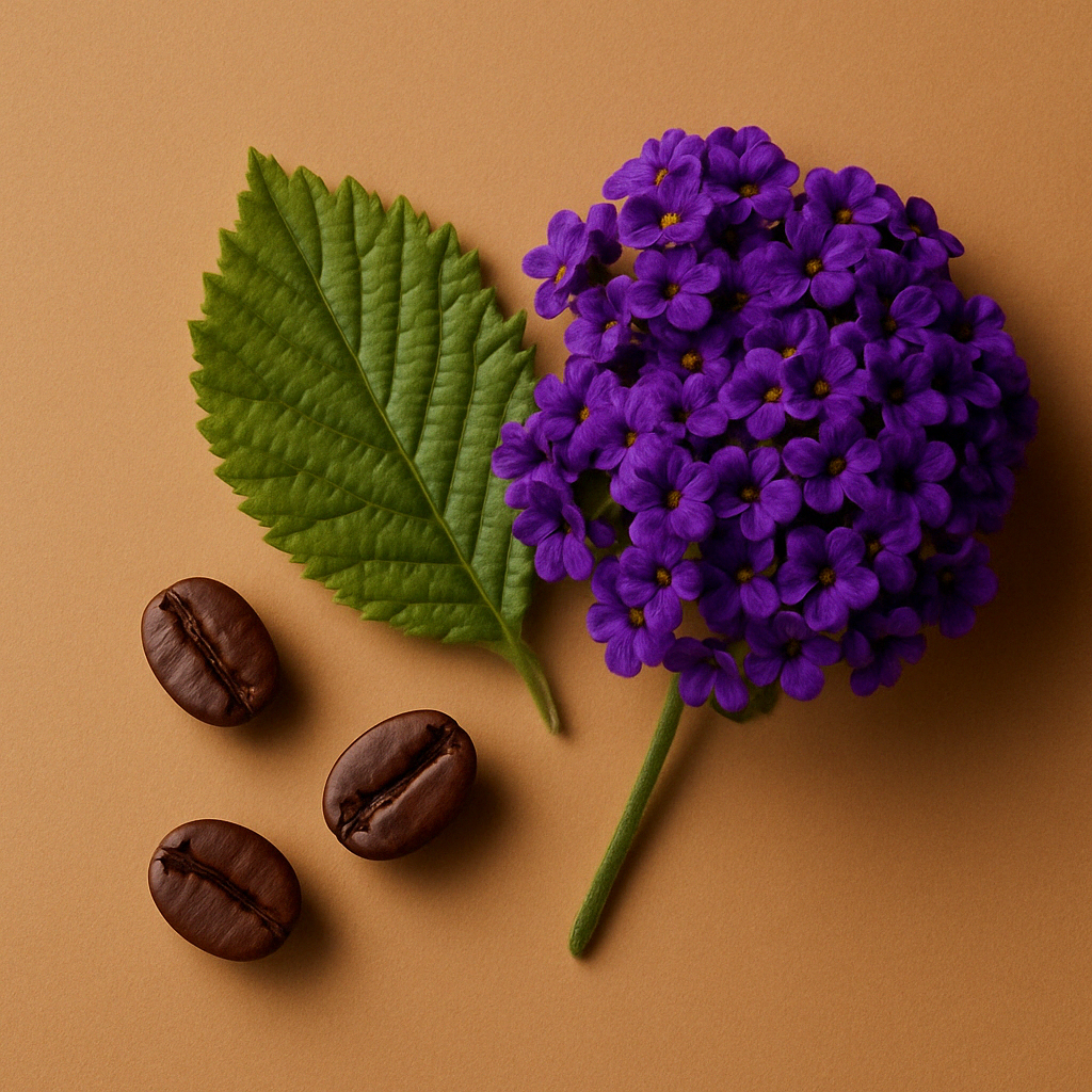 Un gruppo di vivaci fiori di eliotropio viola, una foglia verde e tre chicchi di caffè tostato scuro su sfondo marrone.