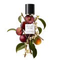 ÉCLAT 418 RAR - Sweet Cherry Plum