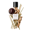 ÉCLAT 242 RAR - Woody Plum